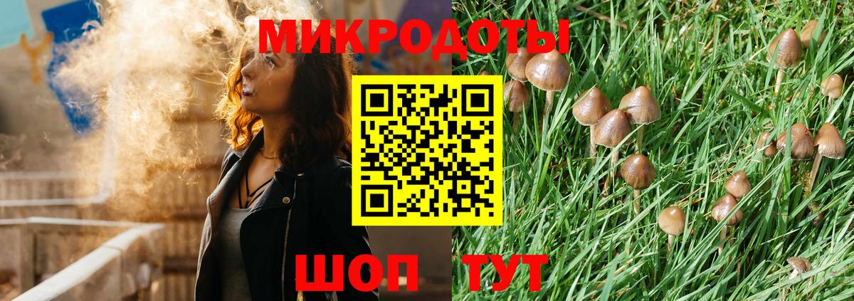 Старая Купавна  Галлюциногенные грибы Psilocybine cubensis  Вход с VPN 